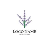vetor de logotipo de ícone de flor de lavanda fresca