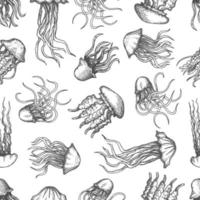 padrão de desenho vintage de água-viva, fundo do mar vetor
