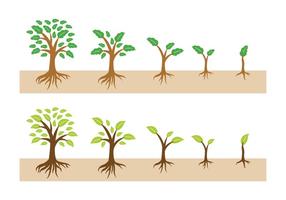 Crescimento árvore com raízes Vector