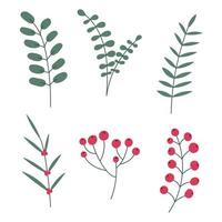 folhas e galhos de inverno desenhados à mão. conjunto de plantas com flores, ramos de abeto, folhas e bagas. ilustração vetorial vetor