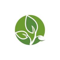 logotipos do logotipo do ícone verde e ecologia do símbolo vetor