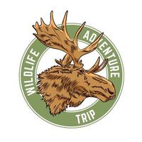 ilustração vetorial de alce em estilo desenhado à mão, perfeito para design de camiseta e logotipo de fundação de cuidados de vida selvagem vetor