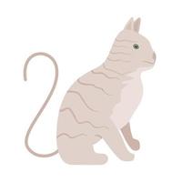 ícone de ilustração vetorial animal gato fofo vetor