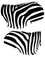 pele de fundo zebra zebra textura de pele de zebra zebra de fundo vetor
