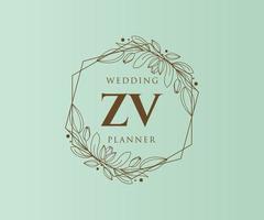 coleção de logotipos de monograma de casamento de letra inicial zv, modelos modernos minimalistas e florais desenhados à mão para cartões de convite, salve a data, identidade elegante para restaurante, boutique, café em vetor