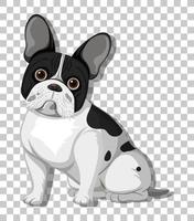 Buldogue francês sentado personagem de desenho animado isolado em fundo transparente vetor