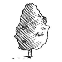 ilustração vetorial isolada de um esboço preto e branco de uma árvore com folhagem. vetor