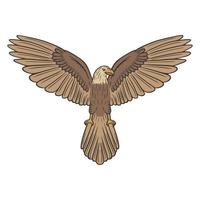 ilustração vetorial de rabiscos desenhados à mão de águia vetor