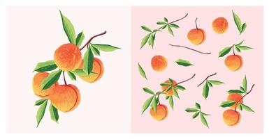 conjunto de frutas de pêssego. ilustração botânica de pêssego. meio pêssego e folhas. vetor