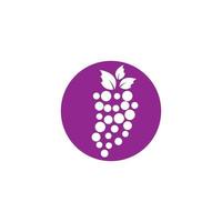 design de ilustração de ícone de vetor de uva