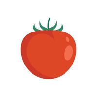 vetor plano isolado de ícone de tomate vermelho orgânico