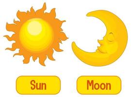 palavras opostas com sol e lua vetor