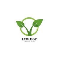 logotipo de folha de árvore ecológica vetor