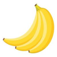 vetor de desenhos animados de ícone de banana fresca. comida tropical
