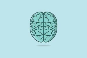ilustração em vetor cérebro humano. conceito de ícone de objeto de educação. vetor de cérebro colorido, ilustração de cérebro, design de parte do corpo humano.