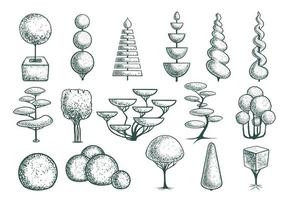 seth esboça formas de árvores topiárias. árvores geométricas para publicidade e paisagismo. isolado no fundo branco. vetor. vetor