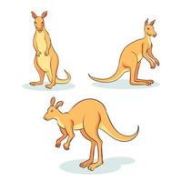 coleção de animais canguru desenhada de mão vetor