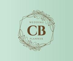 cb letras iniciais coleção de logotipos de monograma de casamento, modelos modernos minimalistas e florais desenhados à mão para cartões de convite, salve a data, identidade elegante para restaurante, boutique, café em vetor