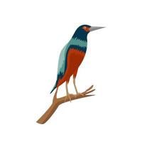 pássaro colorido que fica em um design de logotipo de galho de árvore. desenho vetorial de passarinho com belas cores de penas vetor