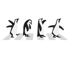 pinguins fofos com desenho de faixa de pedestres vetor