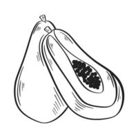 mamão monocromático ícone desenhado à mão ilustração vetorial isolada vetor
