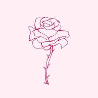 rosa desenhada à mão. desenho de flor rosa. ilustração de flor rosa estilo desenhado na mão. flor fofa. contorno rosa. vetor