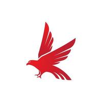 falcon logo template vector