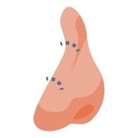 vetor isométrico de ícone de cirurgia de nariz ósseo. rinoplastia plástica
