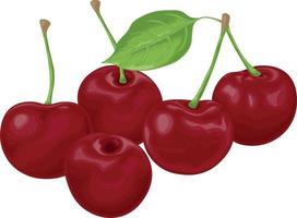 cereja. uma imagem de uma cereja vermelha madura. bagas de cereja vermelha com uma folha verde. bagas de jardim. ilustração vetorial isolada em um fundo branco vetor