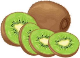 kiwi. kiwi maduro. imagem de um kiwi maduro. fruta vitaminada. produtos vegetarianos orgânicos. ilustração vetorial isolada em um fundo branco vetor