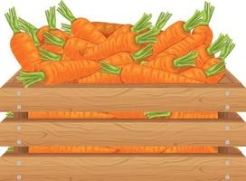 cenoura. caixa de madeira com cenouras. cenouras em uma caixa de madeira. legumes frescos em uma caixa. ilustração vetorial isolada em um fundo branco vetor