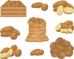 batata. imagem de batatas em um saco, uma caixa e um saco de malha. batatas fatiadas. legumes frescos do jardim. produtos vegetarianos orgânicos.vector vetor