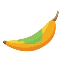 vetor isométrico de ícone de banana contaminada. bactérias alimentares