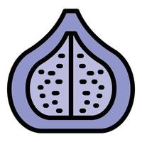 vetor de contorno de cor de ícone de fruta de semente de figo