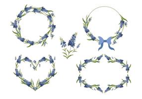 Coleção de vetores de molas de flores de bluebonnet
