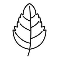 vetor de contorno de ícone de folha de manjericão aromático. tempero de ervas