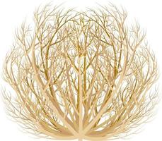 imagem realista de ilustração em vetor planta seca tumbleweed isolada no fundo branco.