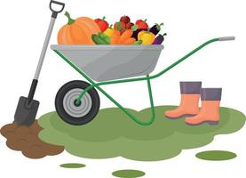 ilustração da colheita. um carrinho de mão de jardim na grama verde, com uma colheita de legumes, abóboras, pepinos, tomates, cenouras, pimentões e berinjelas, uma pá para o trabalho no jardim. vetor