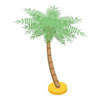 vetor isométrico do ícone da árvore de palma de coco. beleza cosmética