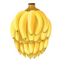 vetor de desenhos animados do ícone de bananas maduras. comida amarela