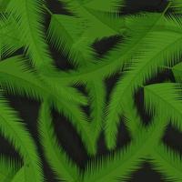 padrão sem emenda de vetor com plantas tropicais. fundo de moda de verão em temas botânicos com folhas de palmeira.