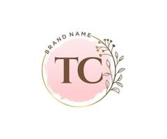 logotipo feminino tc inicial. utilizável para logotipos de natureza, salão, spa, cosméticos e beleza. elemento de modelo de design de logotipo de vetor plana.