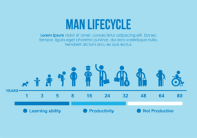 Ilustração do ciclo de vida do homem vetor