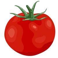elemento de ilustração de tomate vetor