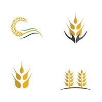 conjunto de ícones de trigo vetor