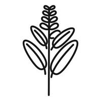 vetor de contorno do ícone de folha de sálvia. flor de erva