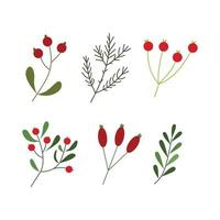 conjunto de ilustração de folhas e bagas de inverno para elemento de design. ornamento floral vintage desenhado à mão para design de natal vetor