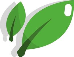 folhas de chá verde, ícone, vetor em fundo branco.