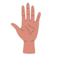 ilustração de uma palma em um estilo simples. elemento de mão. vetor