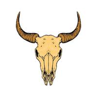 ilustração vetorial de crânio de touro vetor
